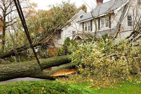 damaged roof of house after a tree fell